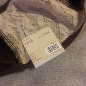 Cacique Intimates & Sleepwear - Brown & Cream Hipster Panties w/Lace NWT 14/16 Cacique Intimates & Sleepwear - Brown & Cream Hipster Panties w/Lace NWT 14/16